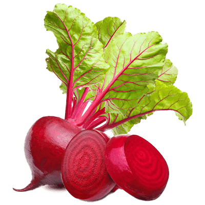 Beet_root