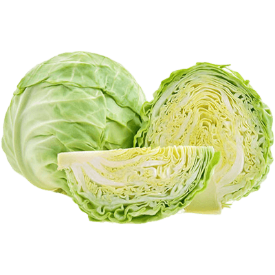 Cabbage