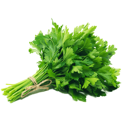 Chinese Celery