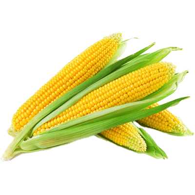 Corn