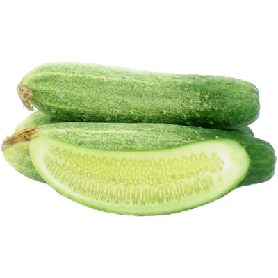 Cucumber