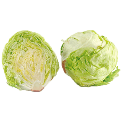 Iceberg Lettuce