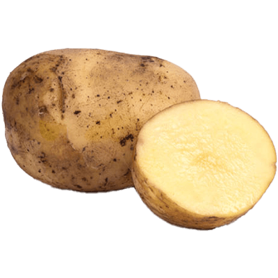 Potato