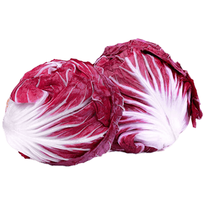 Radicchio