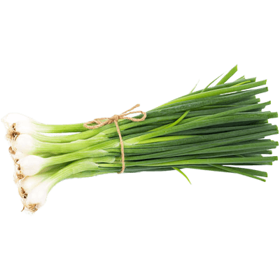 Spring Onion