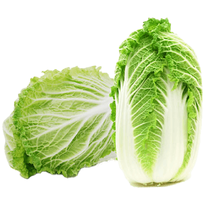 White Cabbage