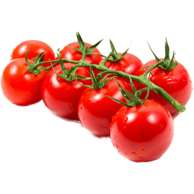 Wild Tomato